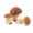 ГРИБЫ