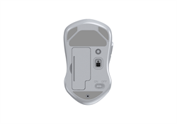 Мышь беспроводная Dareu LM115B Full White (полностью белый), DPI 800/1200/1600, подключение: ресивер 2.4GHz + Bluetooth, размер 107x59x38мм - фото 13784019